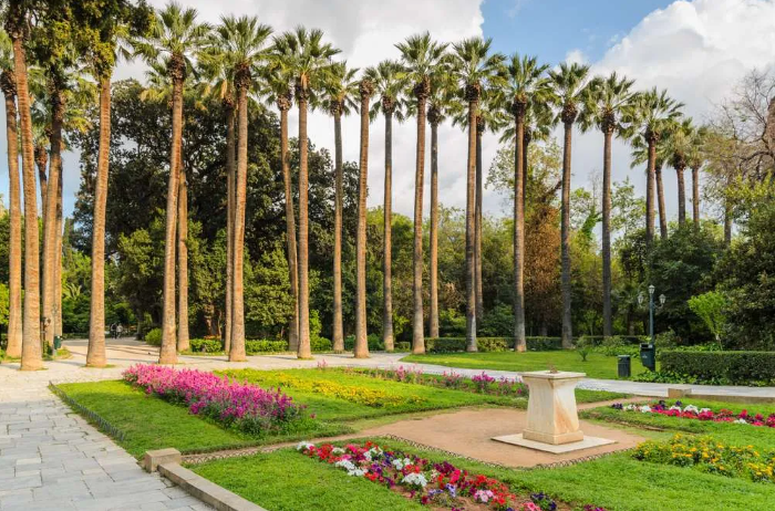palm trees national garden